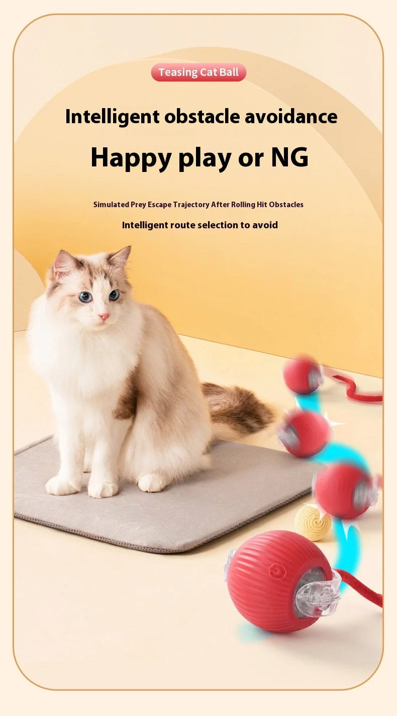 Rechargeable Cat Toys Interactive Smart Pet Interaction