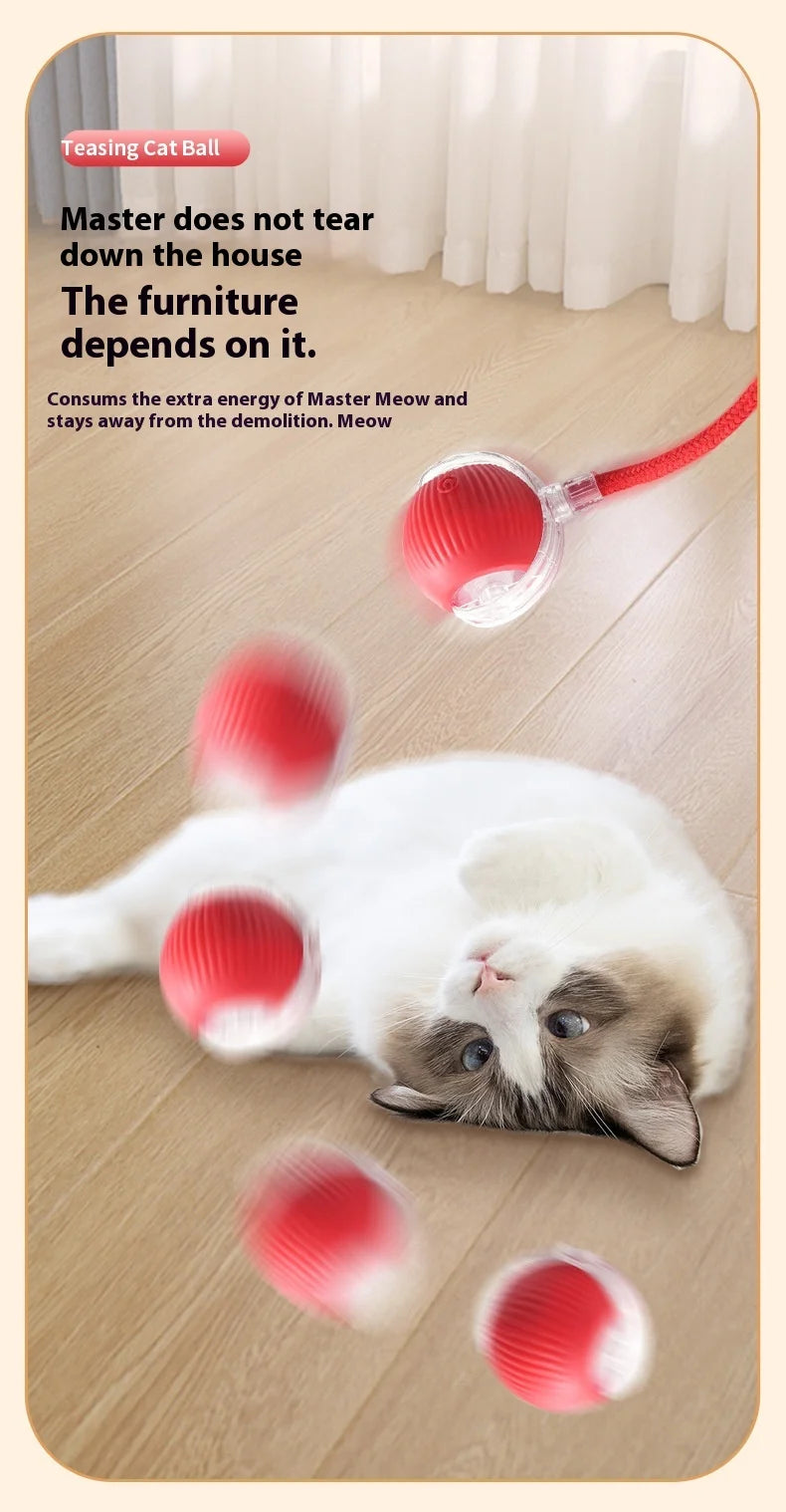 Rechargeable Cat Toys Interactive Smart Pet Interaction