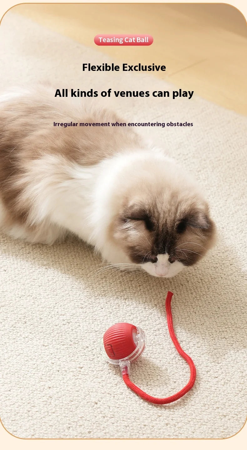 Rechargeable Cat Toys Interactive Smart Pet Interaction