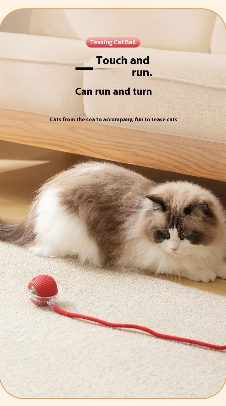 Rechargeable Cat Toys Interactive Smart Pet Interaction