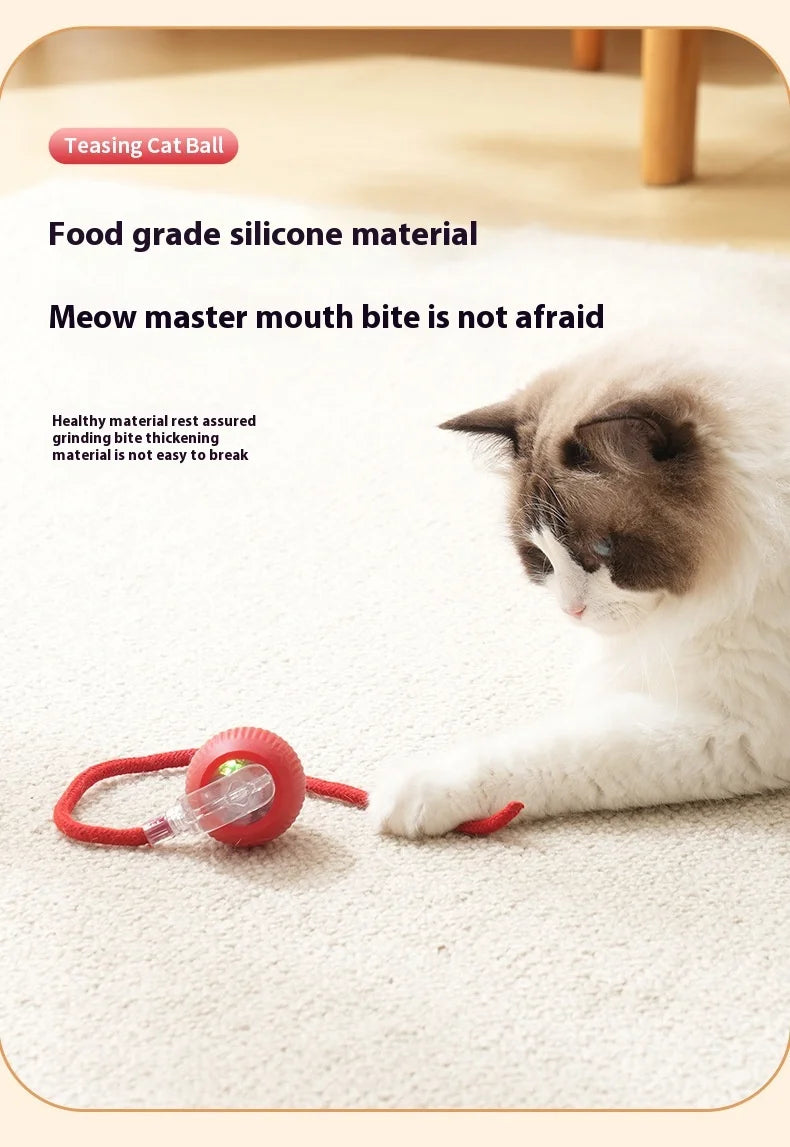 Rechargeable Cat Toys Interactive Smart Pet Interaction