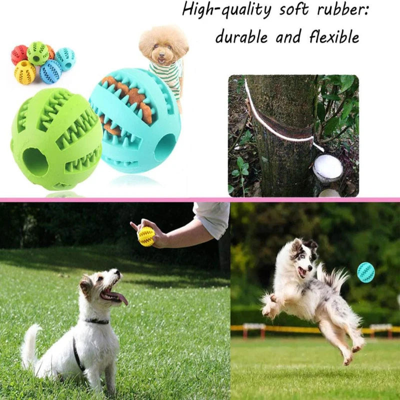 Dog Toy Ball Interactive Rubber Balls Puppy Chewing Toys