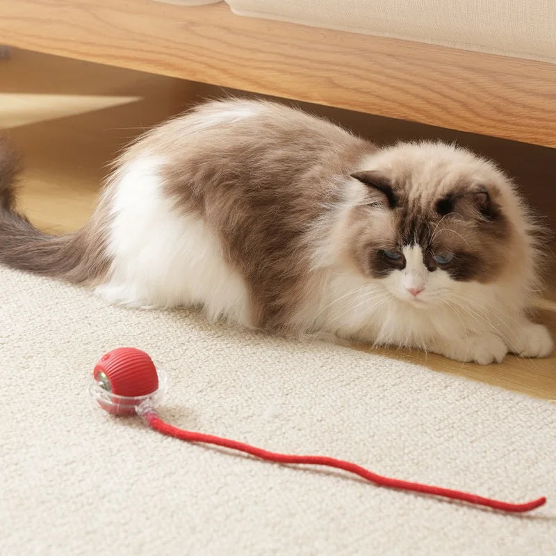 Rechargeable Cat Toys Interactive Smart Pet Interaction