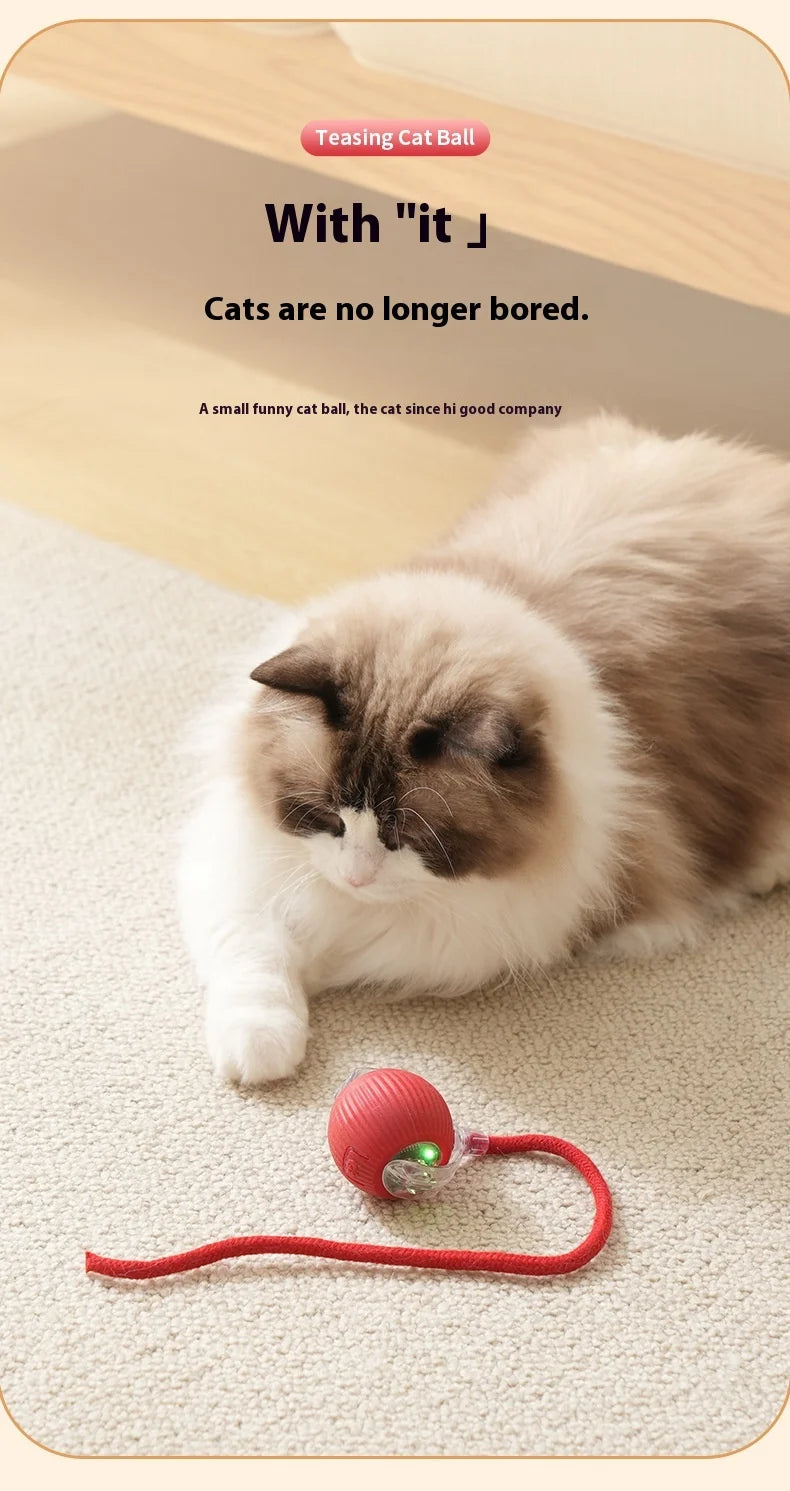 Rechargeable Cat Toys Interactive Smart Pet Interaction