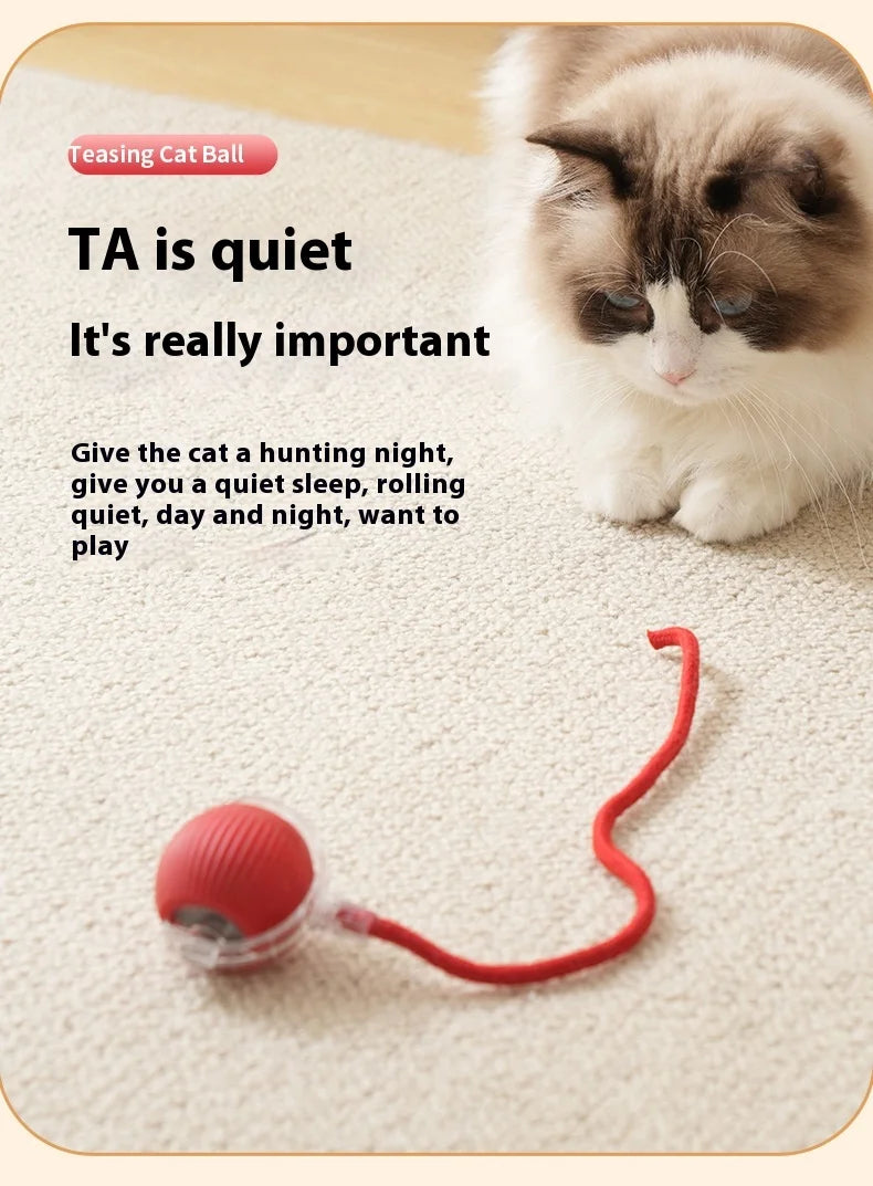 Rechargeable Cat Toys Interactive Smart Pet Interaction