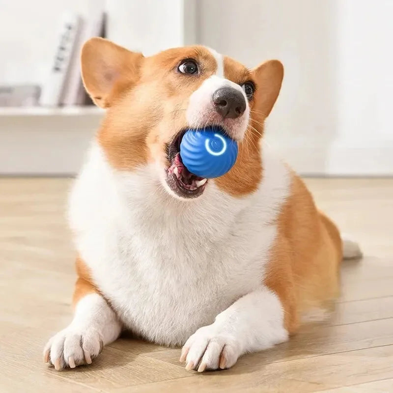 Smart Dog Toy Ball Electronic Interactive Pet Toy Moving Ball