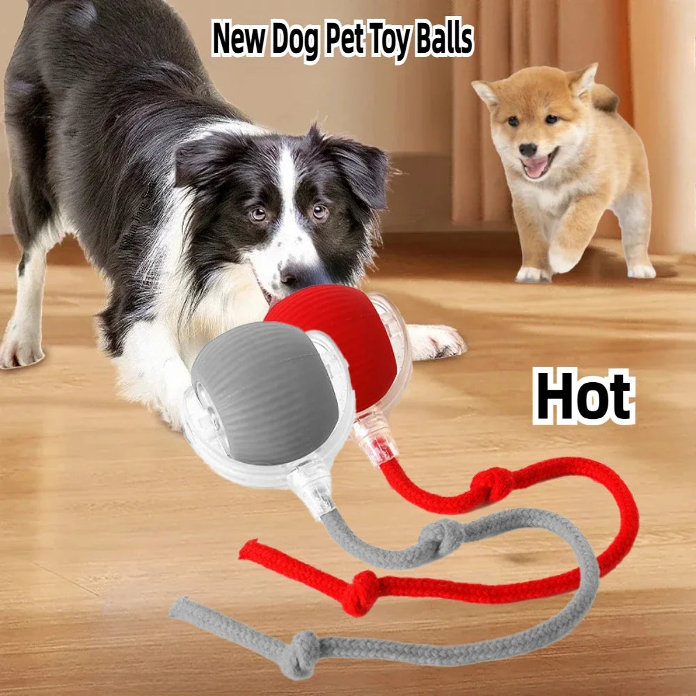 Rechargeable Smart Pet Interactive Automatic Rolling Ball Toy