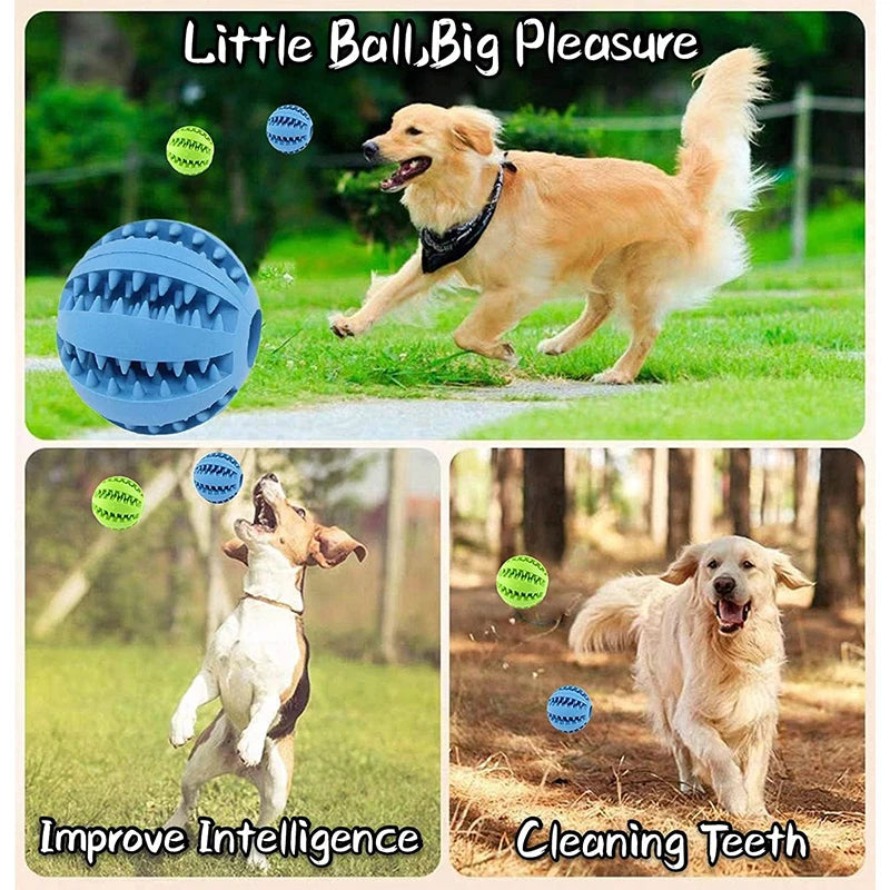 Dog Toy Ball Interactive Rubber Balls Puppy Chewing Toys